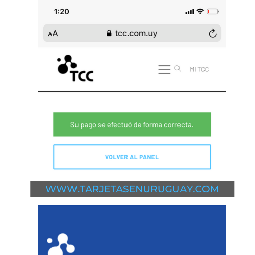 Pago TCC online con Visa
